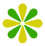 shape